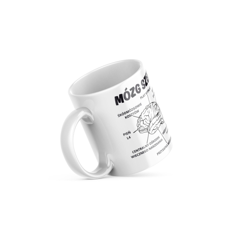 Mózg Szefa (2).jpg