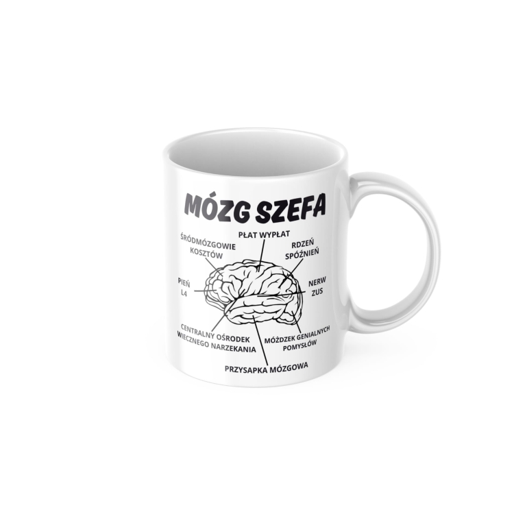 Mózg Szefa (3).jpg