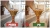 presety-do-lightrooma-filtry-fotograficzne-presety-do-photoshopa.jpg